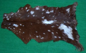 Neu Ziegenfell Teppich Haar auf Fläche Teppich Größe 36"x22" Tierleder Ziegenfell G-411 - Bild 1 von 3
