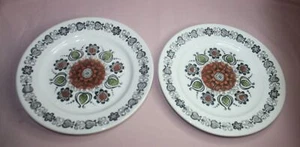 VINTAGE LOT OF 2 BROADHURST IRONSTONE KATHIE WINKLE PLATES 9 1/2" ROMANY PATTERN - Imagen 1 de 5