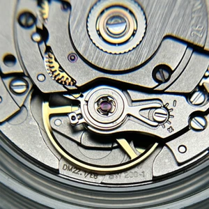 Original SW200-1 Automatic Mechanical Movement Replacement of ETA 2824-2 - Picture 1 of 6