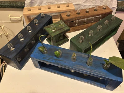 Estación de Propagación con 5 Tubos de Ensayo en Soporte de Madera - Hecho a Mano - Recuperado  Foto 1 de 4