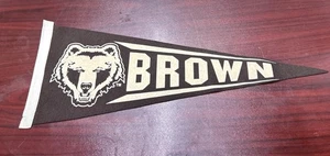 Vintage Brown University School Team Pennant White Letters Bears 23” Inch - Picture 1 of 3