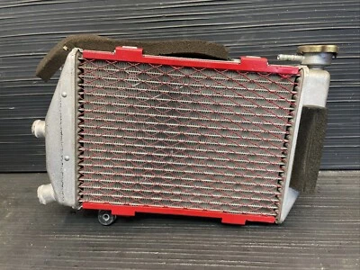 Honda RVT1000R RC51 2001 radiador derecho, radiador de refrigeración derecho OEM #1 Foto 1 de 4