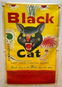 Schwarze Katze Feuerwerk Papier Poster 35" x 23,5" - Bild 1 von 20