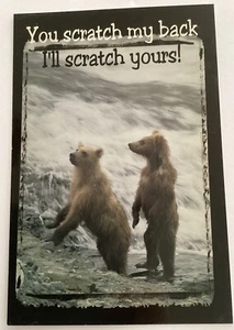 Bear Cubs In River Post Card You Scratch My Back I’ll Scratch Yours Wildlife - Picture 1 of 2
