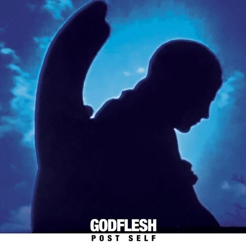 Godflesh - Post Self [Used Very Good Vinyl LP] Blue, Colored Vinyl Foto 1 de 1