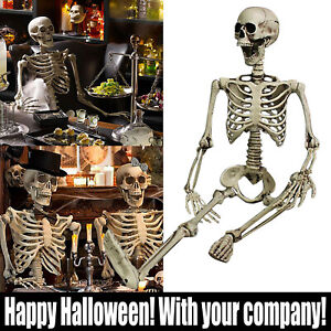 Halloween Haunted House Props Ornaments 70Cm Human Skeleton Decoration