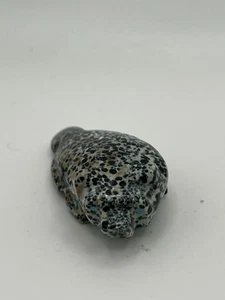 Zuni Fetish Bear signed by Fred Weekoty Fishrock F0832 - Picture 1 of 7