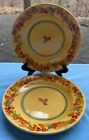 Set/2 Terre E Provence Hand Painted French Terra Cotta Pottery Salad Plates #1