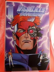 1994 Image Comics Wildcats Adventures 2 Ty Templeton Cover Artist FREE SHIPPING - Picture 1 of 1