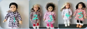 Winter Outfit for 18inch Dolls - Picture 1 of 16