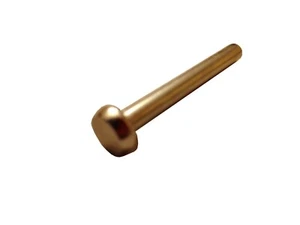 Clavo magnetizador Snap Circuits - Imagen 1 de 1