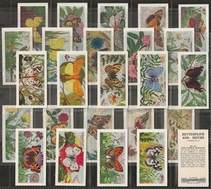 BARRATT - FULL SET - SCHMETTERLINGE & MOTTEN 1969 (25 KARTEN) TOP - Bild 1 von 4