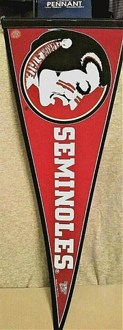 Florida State Seminoles Classic Pennant Cover