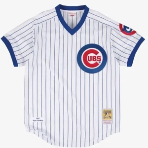 MLB Mitchell & Ness Chicago Cubs #23 Baseball Jersey New Mens 34 (X-SMALL) $300 - Picture 1 of 4