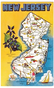 c1959 New Jersey with Violets & Sailboat~Vintage NJ State Map Postcard - Picture 1 of 2