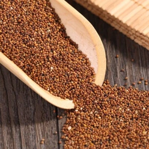 100% Natural Dried Dodder Seed tu si zi * Chinese Tea 250g - Picture 1 of 4