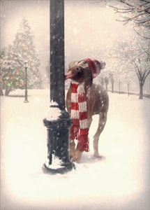 Dog Tongue Stuck on Pole - Avanti Funny Box of 10 Christmas Cards - Picture 1 of 1