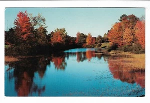 VTG Postcard Autumn Fall Lakeside Unknown Reflection - Picture 1 of 2