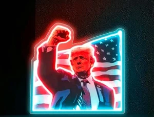 DONALD TRUMP -Sign Fight - Christmas Gift - Picture 1 of 4