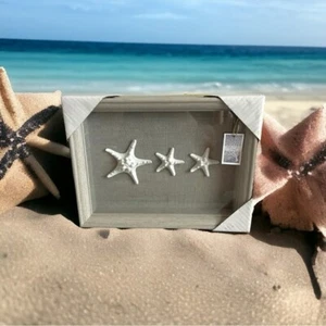 New Coastal Shadow Box Starfish Shell Wall Art Beach Wall Hanging Nautical Decor - Imagen 1 de 4