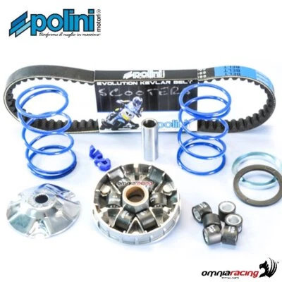 Polini hi-speed variator kit for Piaggio Zip 50SP 1996-2000 2T water cooled - Immagine 1 di 4