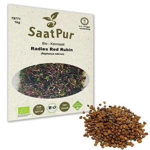 1kg BIO Keimsaat für Sprossen Radies Red Rubin Samen Keimsprossen Microgreens - Bild 1 von 5