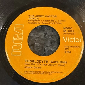 The Jimmy Castor Bunch - Troglodyte - Bild 1 von 1