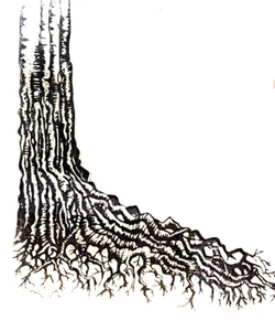 Tree Trunk & Roots Forest Woods Wilderness Clear Stamp  3.5" x 3.5" - Picture 1 of 1