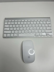 Apple Wireless Keyboard and Magic Mouse (A1296/A1314) - Picture 1 of 6
