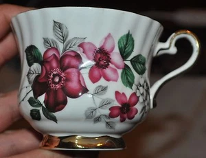 PRISTINE ENGLISH ROYAL ARDALT TEA CUP WITH ROSES - Picture 1 of 5