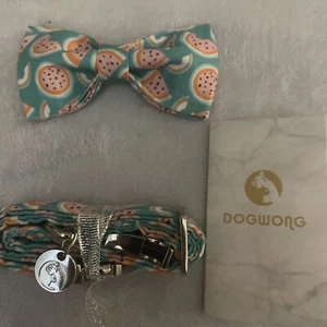 Pajarita Dogwong Estampado Sandía 6 Pies Correa MEDIANA-GRANDE Muy Alta Calidad - Imagen 1 de 4