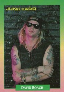 1991 Brockum Rock Cards NonSport Trading Cards Pick From List 1-200