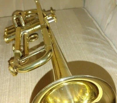 Trompeta Profesional STOMVI REEVES CAMBRASS V-RAPTOR BB (¡RARA!) sin funda, sin mp Foto 1 de 4