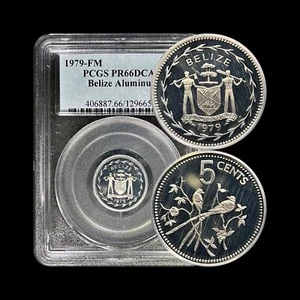 BELIZE. 1979, 5 Cents - PCGS PR66 DCAM - Fork-Tailed Flycatcher RARE - Picture 1 of 5