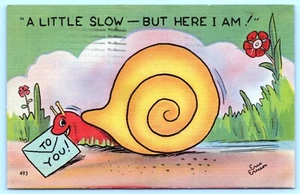 Postal c1940 's Segunda Guerra Mundial Caracol Correo Lento Humor #C16 - Imagen 1 de 2