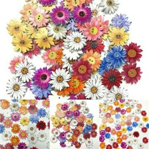 Lots 50Pcs Wooden Buttons Sewing 2-holes Scrapbooking Button Crafts Flower Shape - Picture 1 of 12