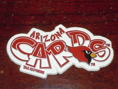 NFL Vintage ARIZONA CARDINALS Old RUBBER Football FRIDGE MAGNET Standings Board Cover