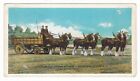 1932 Omaha Nebraska Union Stock Yards Six Horse Team Wagon Vintage Postcard Ne !