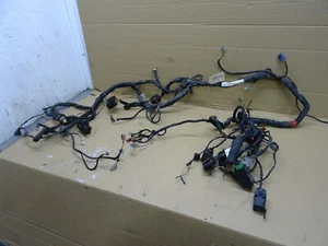 Arnés principal telar de cableado Piaggio X EVO 125 643095-00 P572 - Imagen 1 de 8