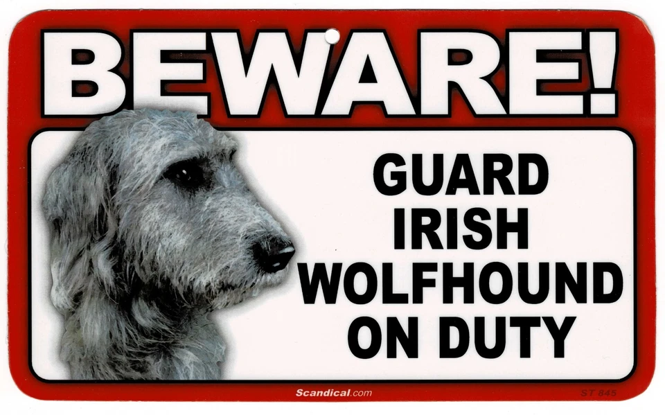 CUIDADO CON EL LETRERO LAMINADO RECTANGULAR PERRO/MASCOTA LOBO IRLANDÉS. ENVÍO COMBINADO. Foto 1 de 1