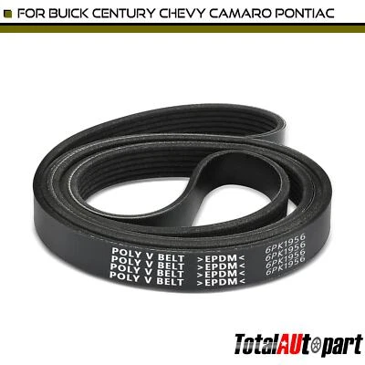 Cinturón Serpentine 76,87 pulgadas para Chevrolet Camaro 1993-1995 Oldsmobile Pontiac Buick Foto 1 de 4