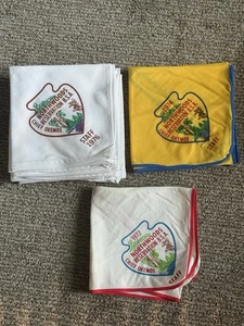 Boy Scouts Neckerchiefs (16) Chief Okemos North Woods Reservation Staff BSA - Picture 1 of 9