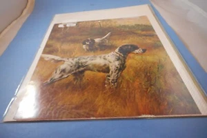 VINTAGE ENGLISH SETTER DOG PRINTS - Picture 1 of 1