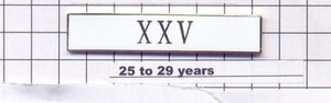 Police Department 25-29 Year Longevity Bar (XXV) Citation Bar (pin back - White) - Picture 1 of 2