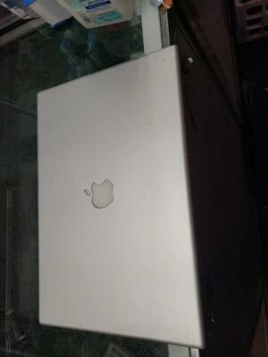 AApple Screen Display Assembly for MacBook Pro 15" A1260 A1226 A1150 free ship - Image 1 of 4