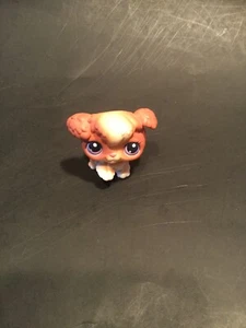 Littlest Pet Shop #37 Authentic Tan And White Dog With Two Tone Purple Eyes - Picture 1 of 4