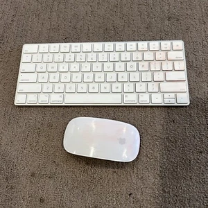 Apple Lot Of Wireless Magic Keyboard A1644 & A1657 Wireless Mouse Working - Picture 1 of 18