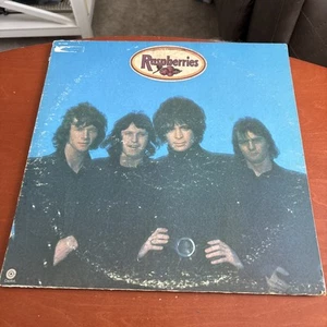 Raspberries - Self Titled 1972 LP Vinyl Record SK 11036 - Imagen 1 de 6