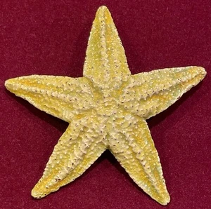 Accessocraft Starfish Brooch Pin Yellow And Gold - Picture 1 of 5
