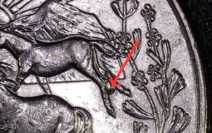 2006 P Nevada State Quarter Pooping Horse Die Chip Error - Picture 1 of 7
